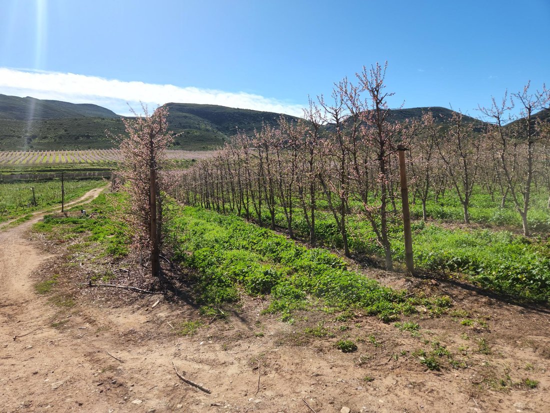Montagu, Western Cape, South Africa 2 - 19109580