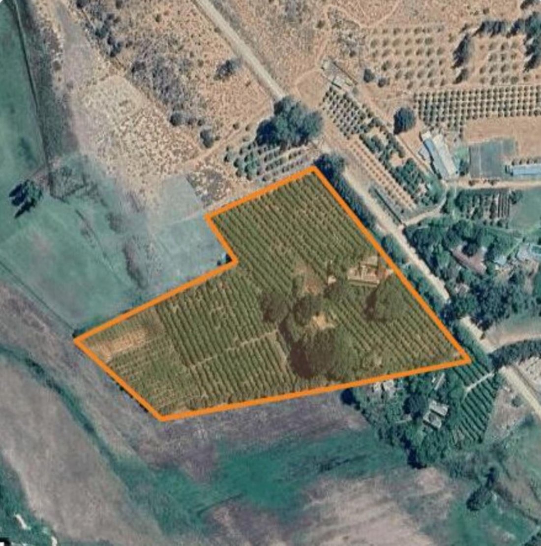 Andere in Clanwilliam, Westkap, Südafrika 3 - 19109583