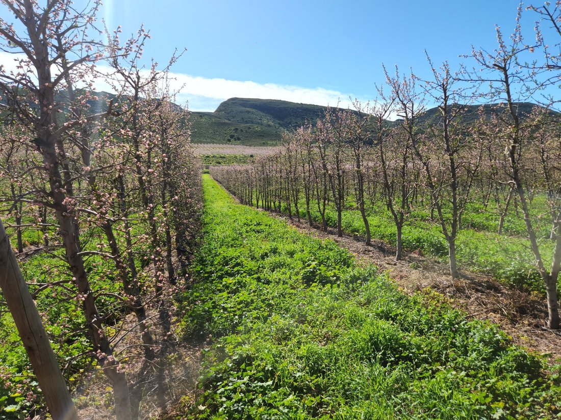 Montagu, Western Cape, South Africa 5 - 19109580