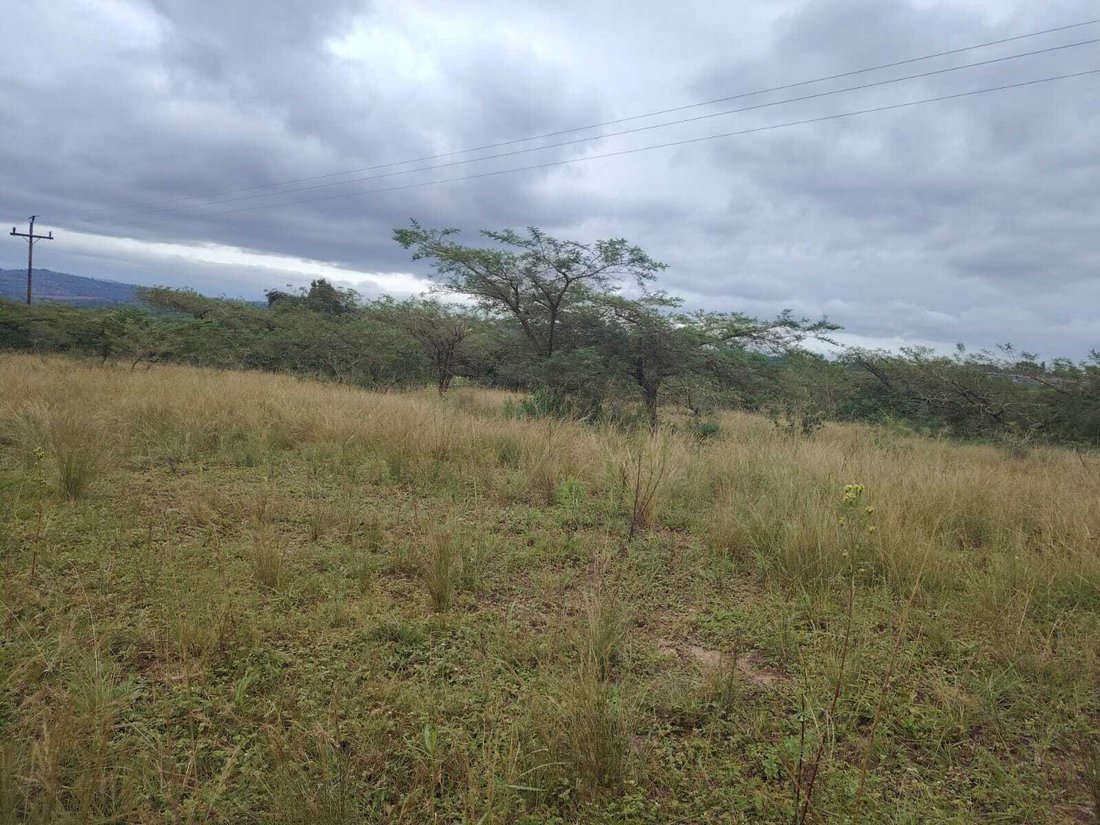 Land in eThekwini Metropolitan Municipality, KwaZulu-Natal, South Africa 1 - 19109584
