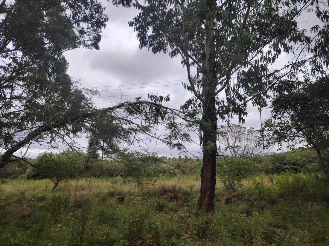 Land in eThekwini Metropolitan Municipality, KwaZulu-Natal, South Africa 2 - 19109584