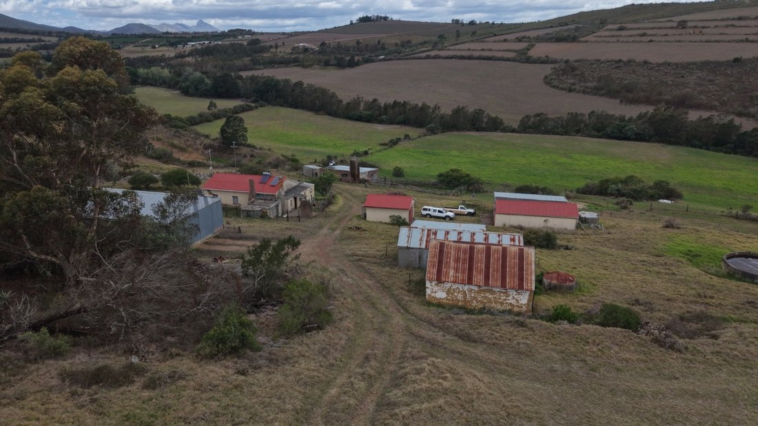 Andere in Albertinia, Westkap, Südafrika 1 - 19109645