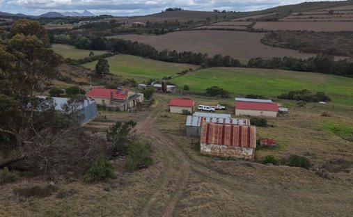 Albertinia, Provincia del Capo Occidentale, Sudafrica 1