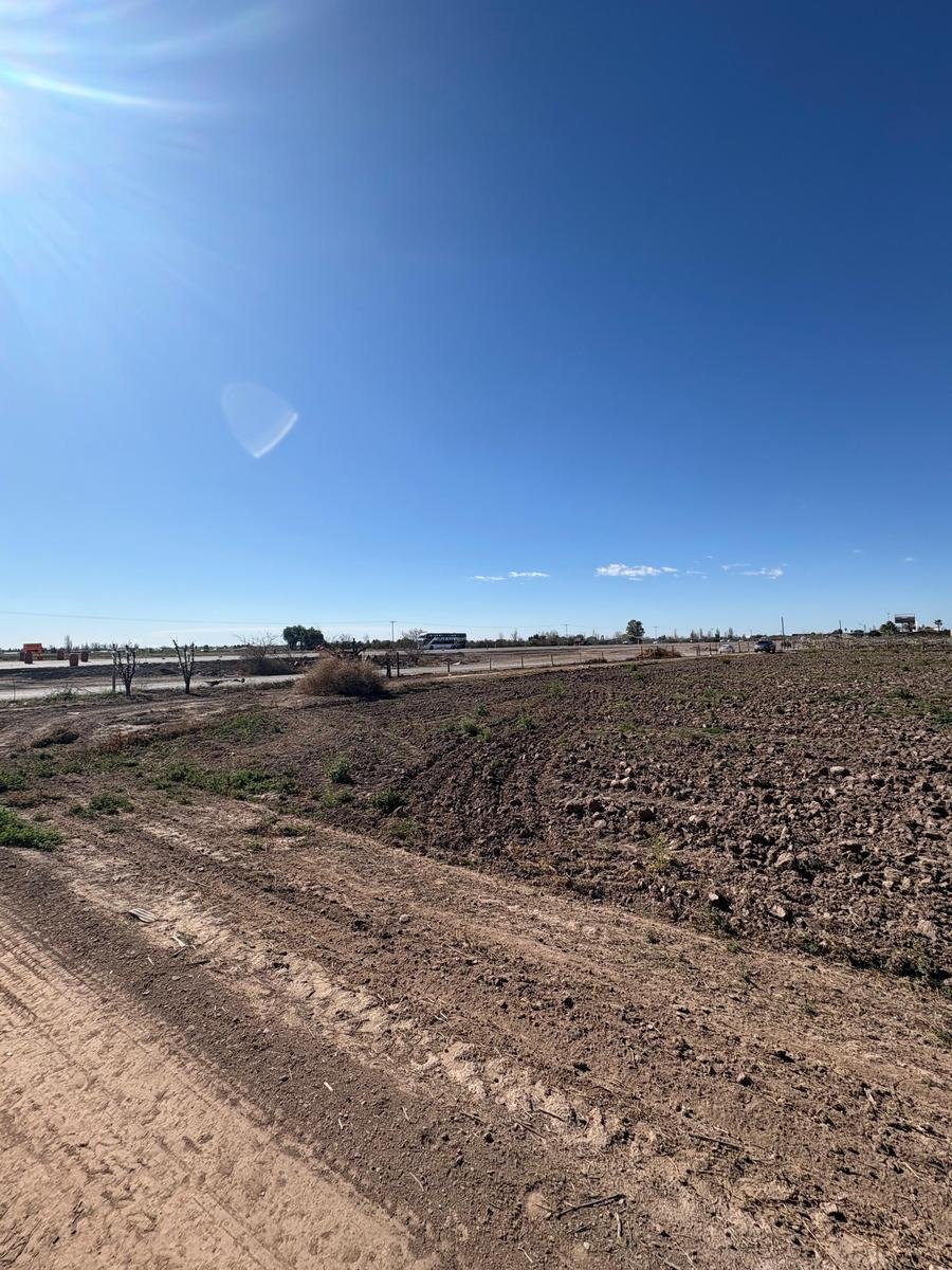Land in Rodeo del Medio, Mendoza Province, Argentina 1 - 19109699