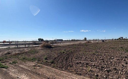 Land in Rodeo del Medio, Mendoza, Argentinien 1
