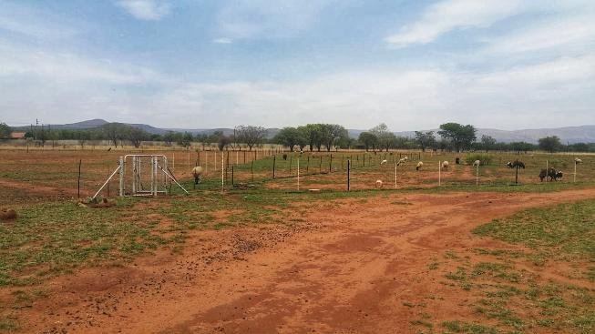 Farm Ranch in Rustenburg, North West, South Africa 4 - 19109865