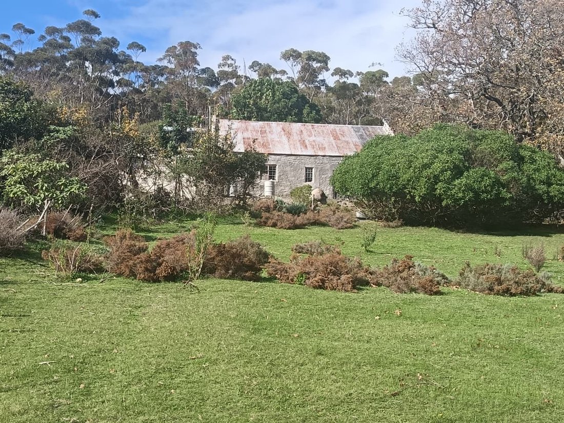 Andere in Napier, Westkap, Südafrika 1 - 19109844