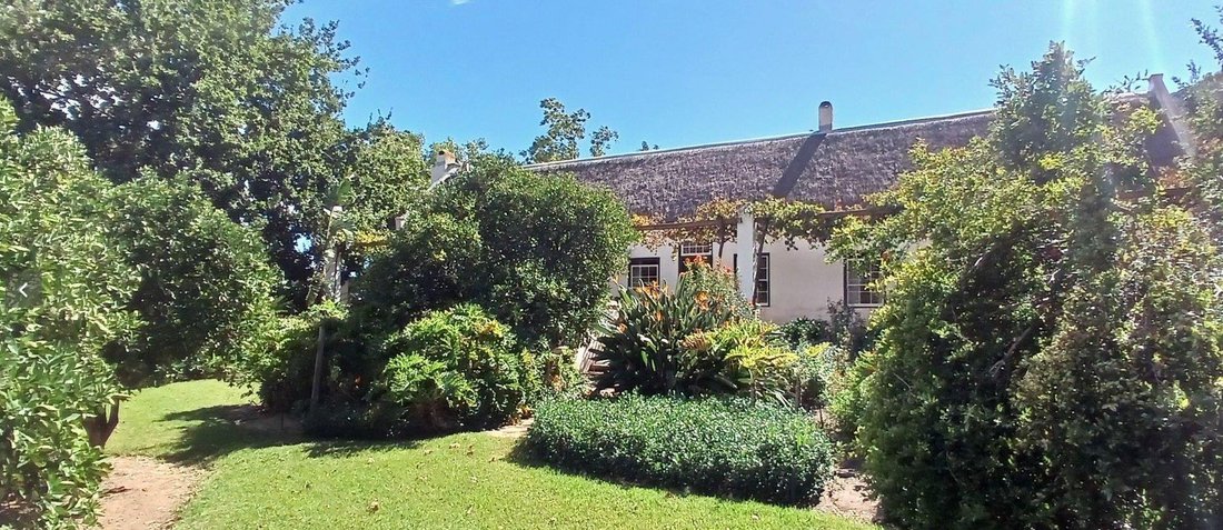 Otros en Clanwilliam, El Cabo Occidental, Sudáfrica 1 - 19110202