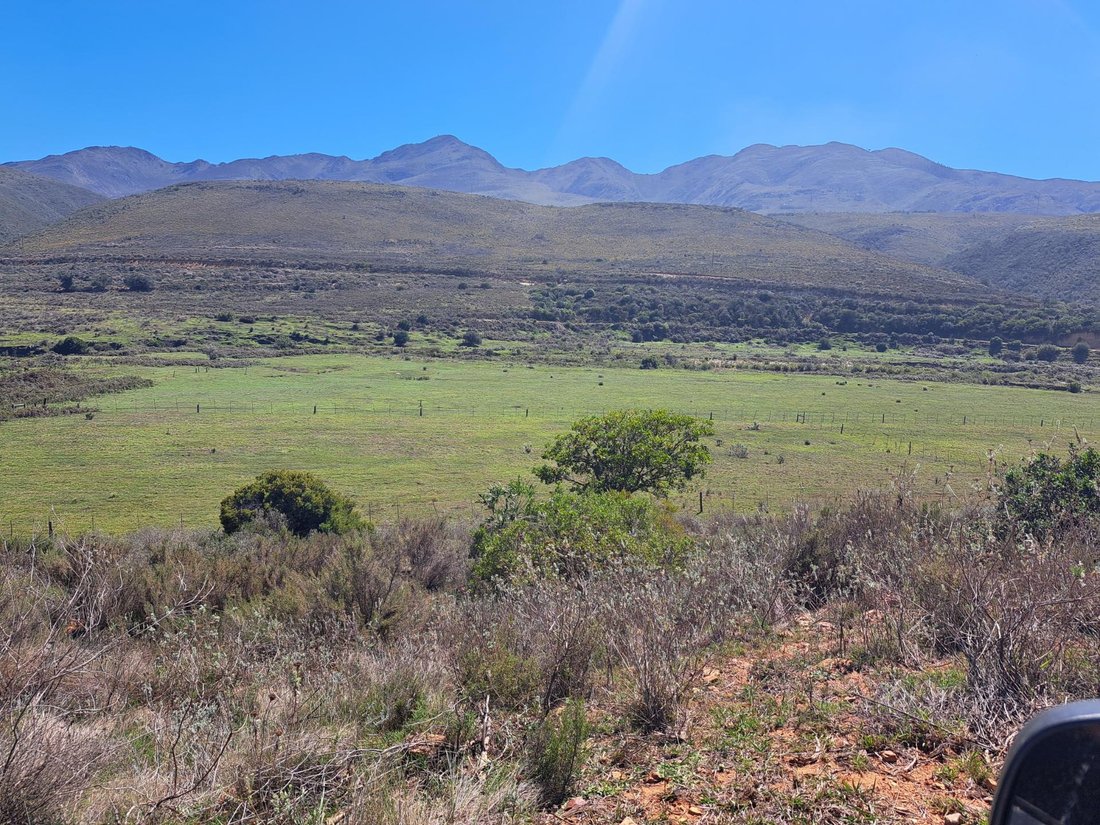 Andere in Kareedouw, Ostkap, Südafrika 5 - 19109803