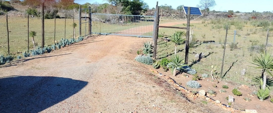 Andere in Gouritz, Westkap, Südafrika 5 - 19109738