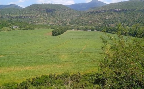 Municipio local de Umvoti, KwaZulu-Natal, Sudáfrica 1