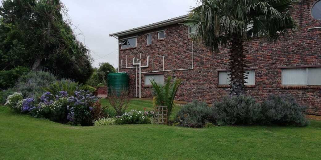Andere in Jeffreys Bay, Ostkap, Südafrika 4 - 19109825