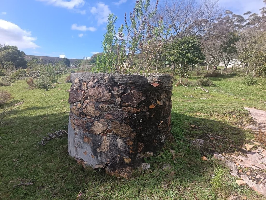 Andere in Napier, Westkap, Südafrika 5 - 19109844