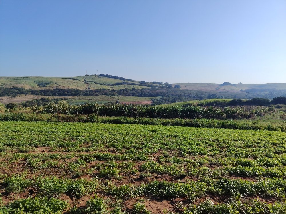 Terreno en oThongathi, KwaZulu-Natal, Sudáfrica 5 - 19109724