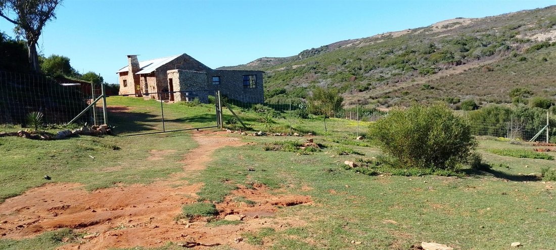 Andere in Gouritz, Westkap, Südafrika 1 - 19109738
