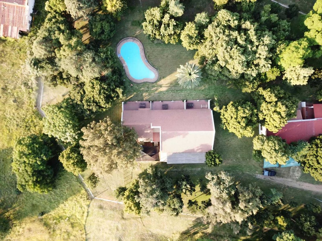 Johannesburg, Gauteng, South Africa 4 - 19109692