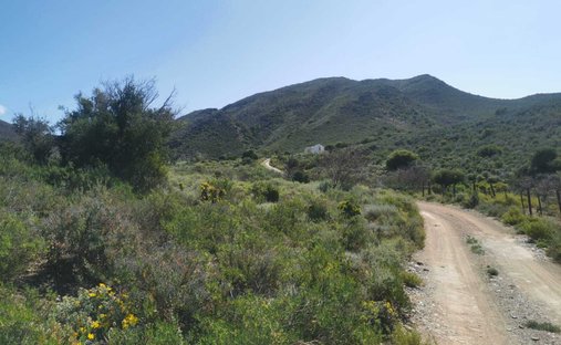 Barrydale, Westkap, Südafrika 1