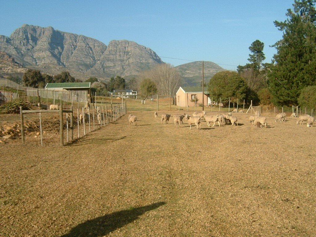 George, Western Cape, South Africa 1 - 19110053