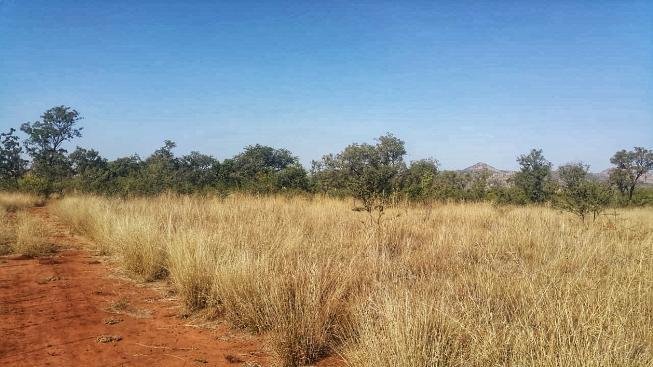 Farm Ranch in Rustenburg, North West, South Africa 3 - 19109865