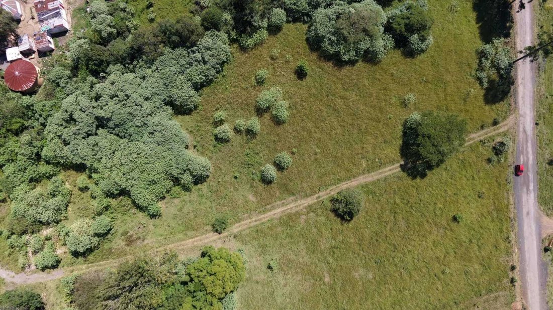 Land in Camperdown, KwaZulu-Natal, Südafrika 3 - 19109731