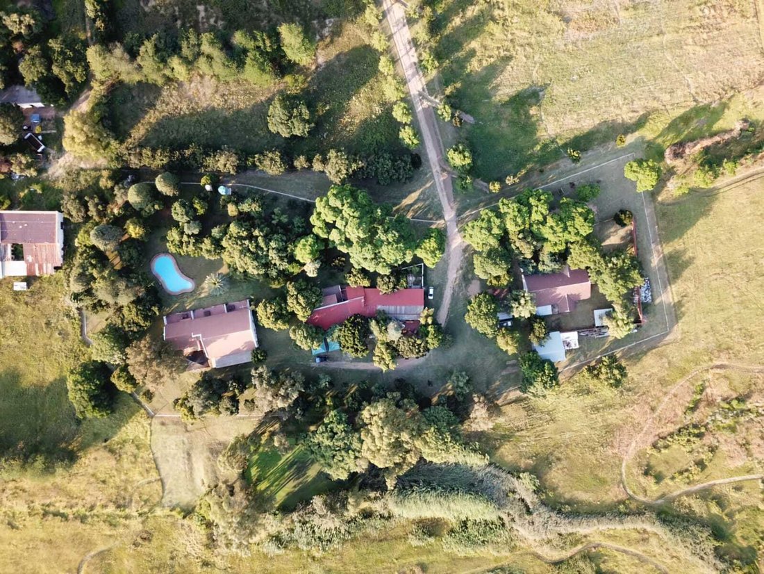 Johannesburg, Gauteng, South Africa 5 - 19109692