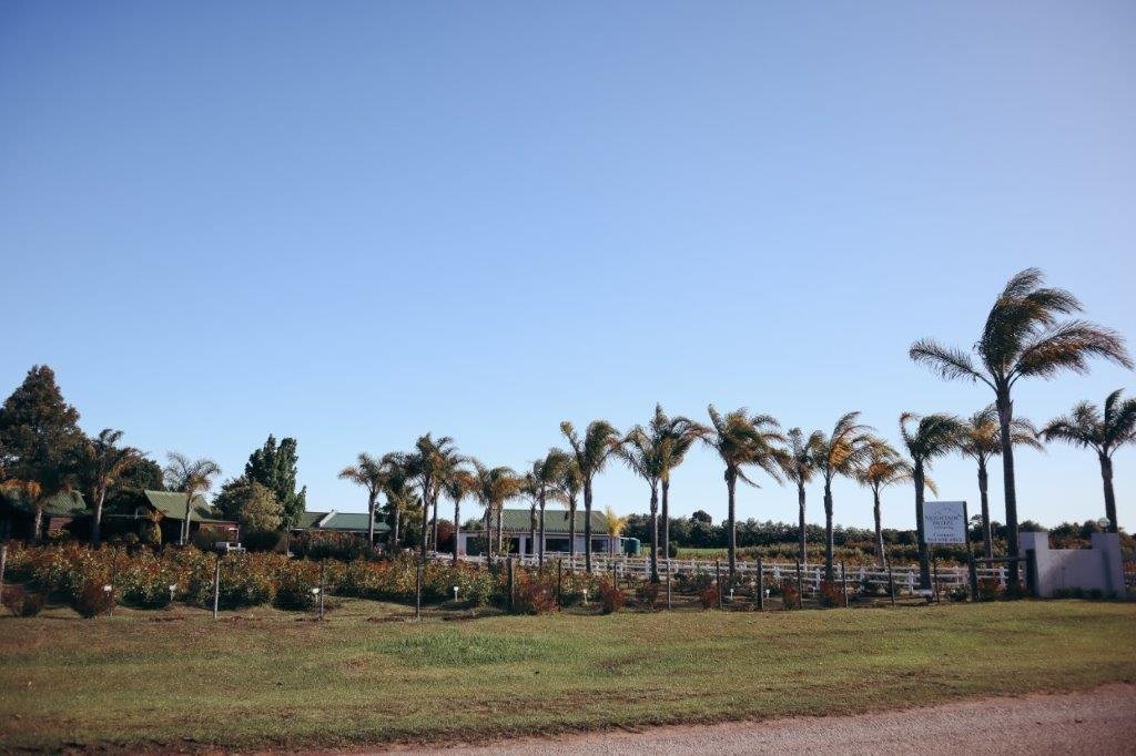 Altro a Humansdorp, Provincia del Capo Orientale, Sudafrica 3 - 19109969