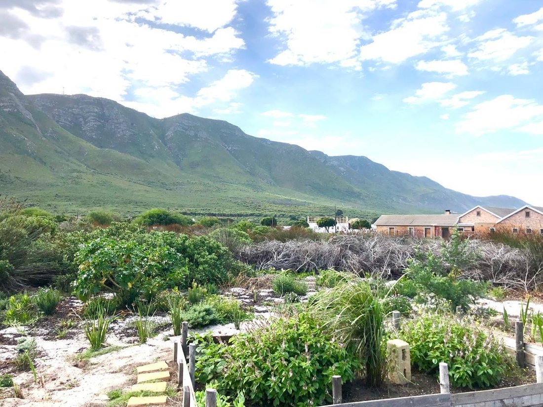 Haus in Fernkloof Estate, Westkap, Südafrika 4 - 19109676