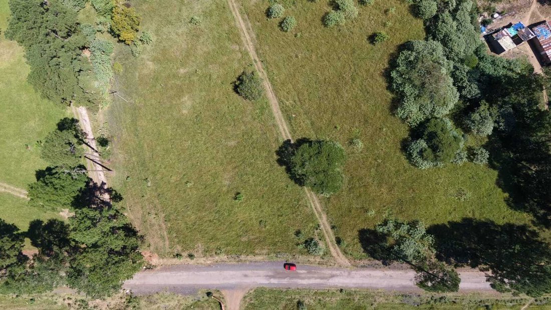 Land in Camperdown, KwaZulu-Natal, Südafrika 4 - 19109731