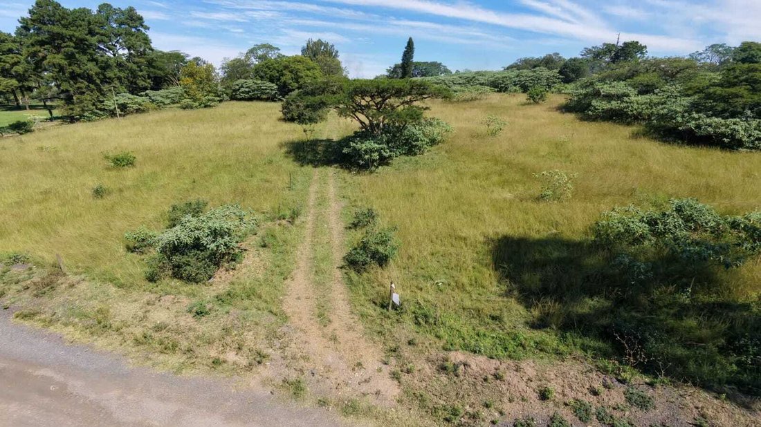 Land in Camperdown, KwaZulu-Natal, Südafrika 5 - 19109731