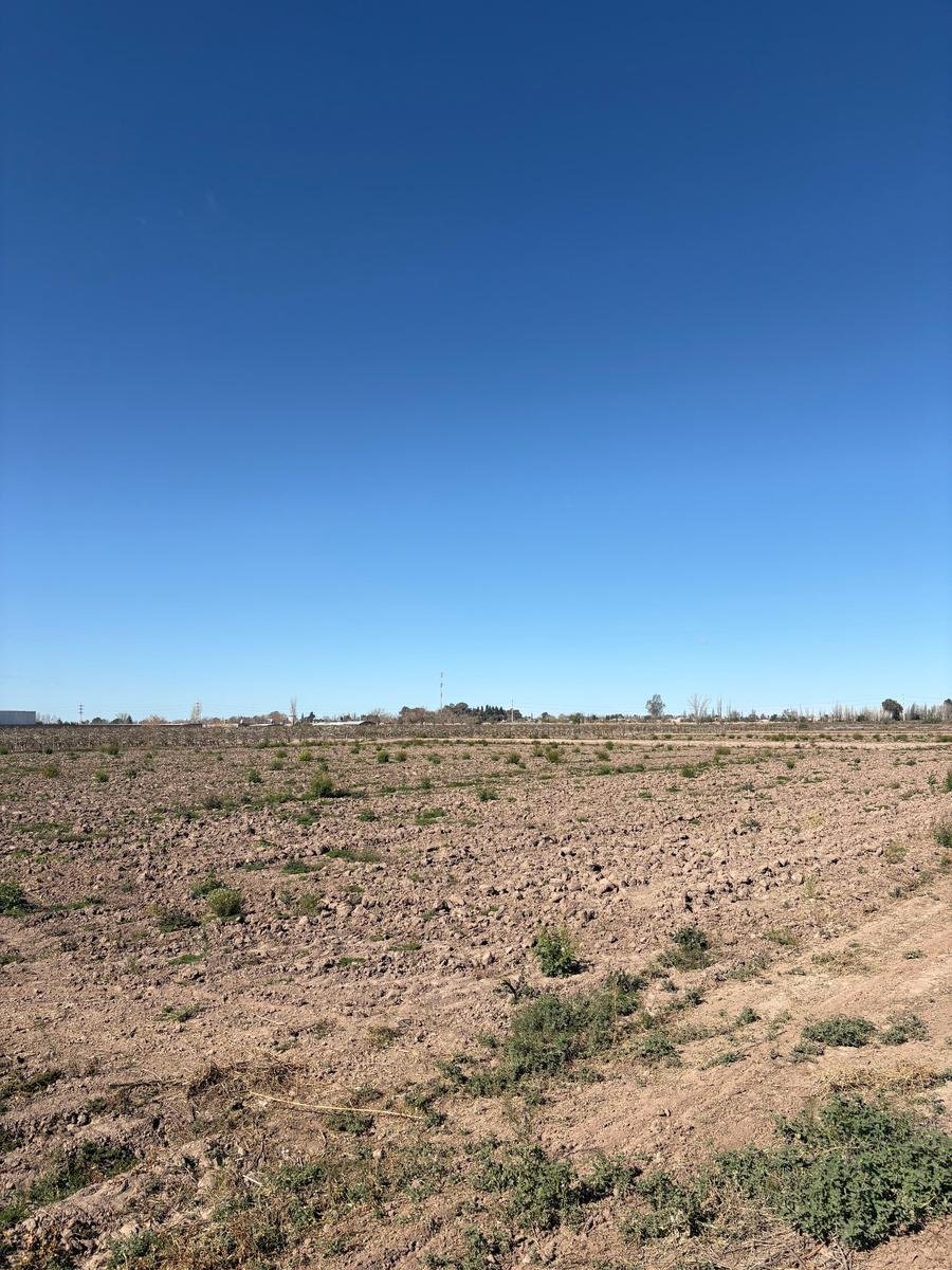 Land in Rodeo del Medio, Mendoza Province, Argentina 4 - 19109699