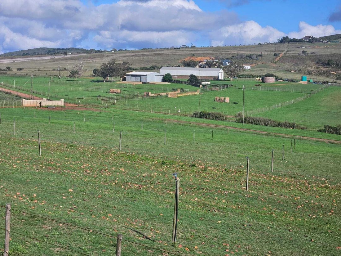 Andere in Mossel Bay Golf Estate, Westkap, Südafrika 2 - 19110070