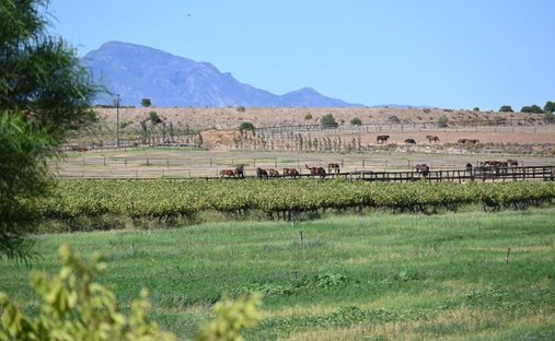 Robertson, Western Cape, South Africa 1