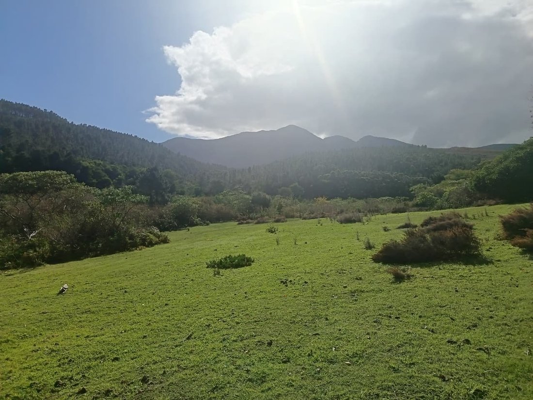 Andere in Napier, Westkap, Südafrika 4 - 19109844