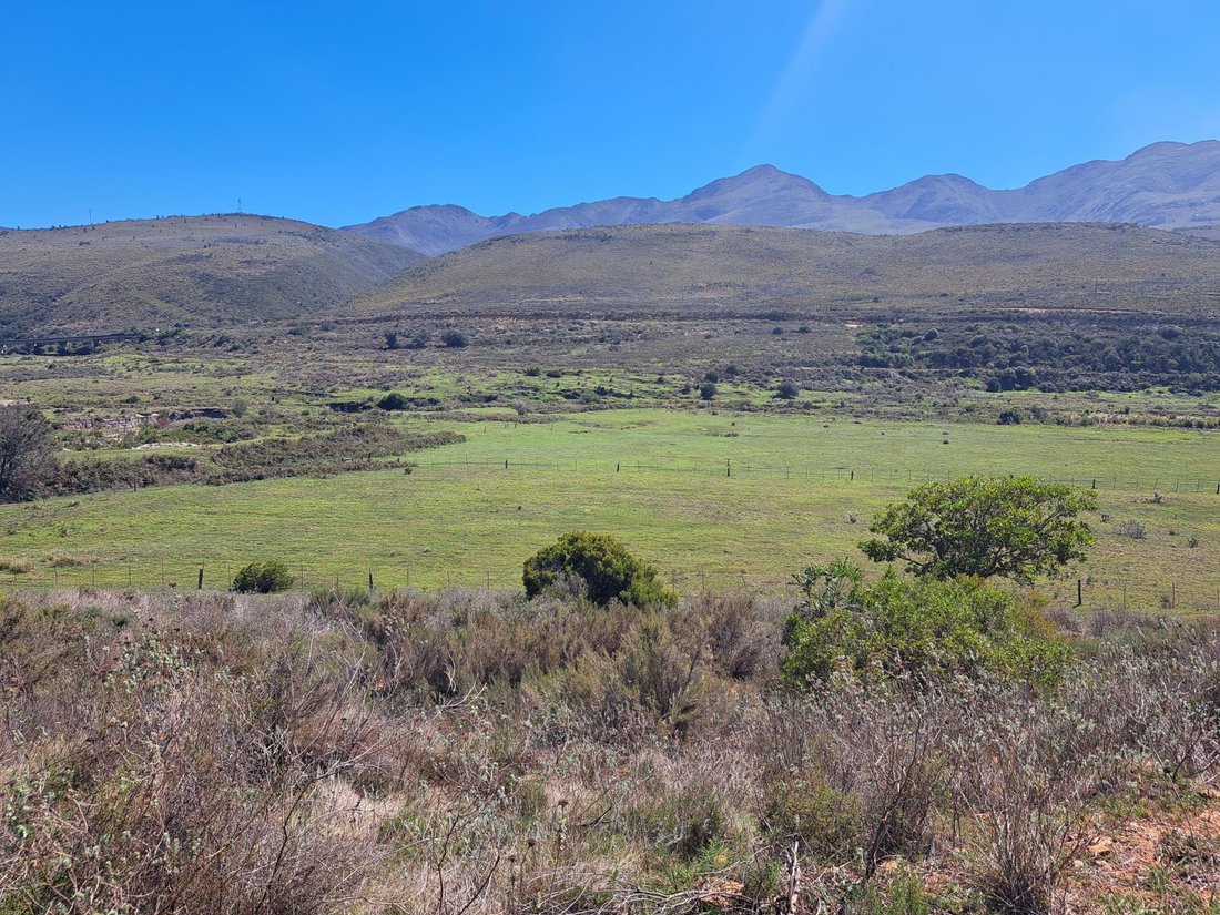 Andere in Kareedouw, Ostkap, Südafrika 1 - 19109803