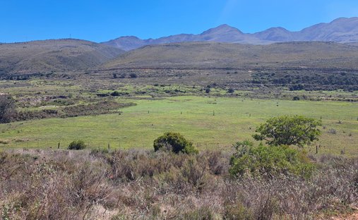 Kareedouw, Cap-Oriental, Afrique du Sud 1