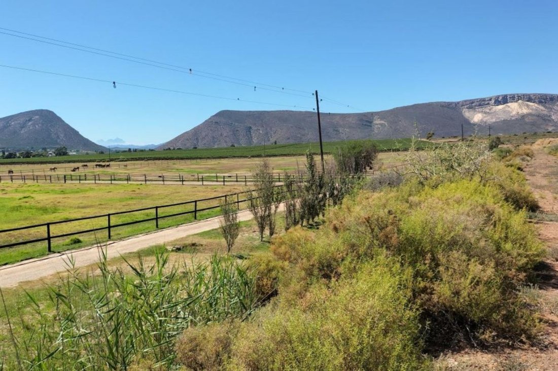 Robertson, Western Cape, South Africa 2 - 19109727