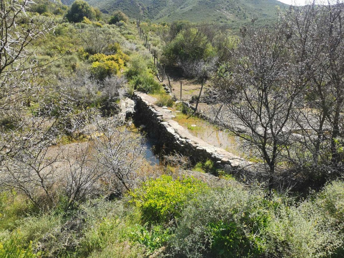 Andere in Barrydale, Westkap, Südafrika 3 - 19109796