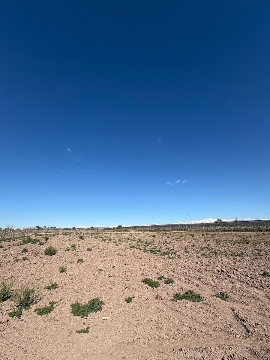 Land in Rodeo del Medio, Mendoza Province, Argentina 5 - 19109699
