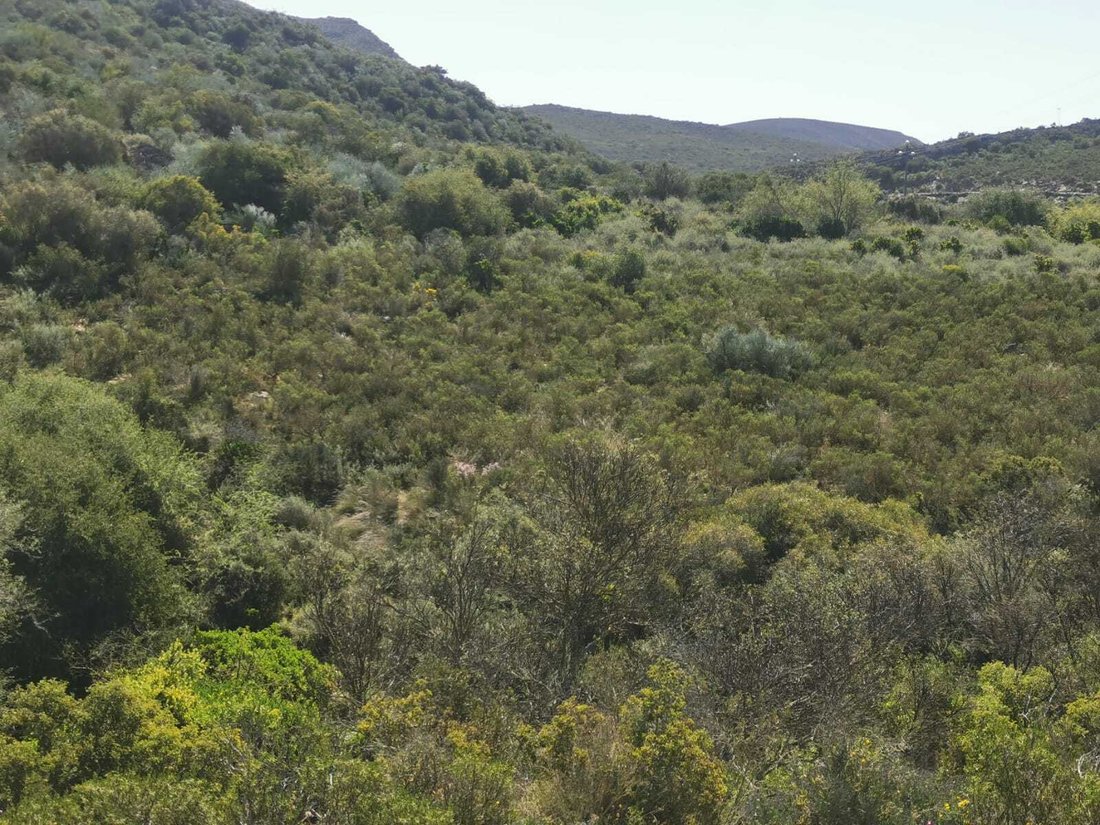 Andere in Barrydale, Westkap, Südafrika 4 - 19109796