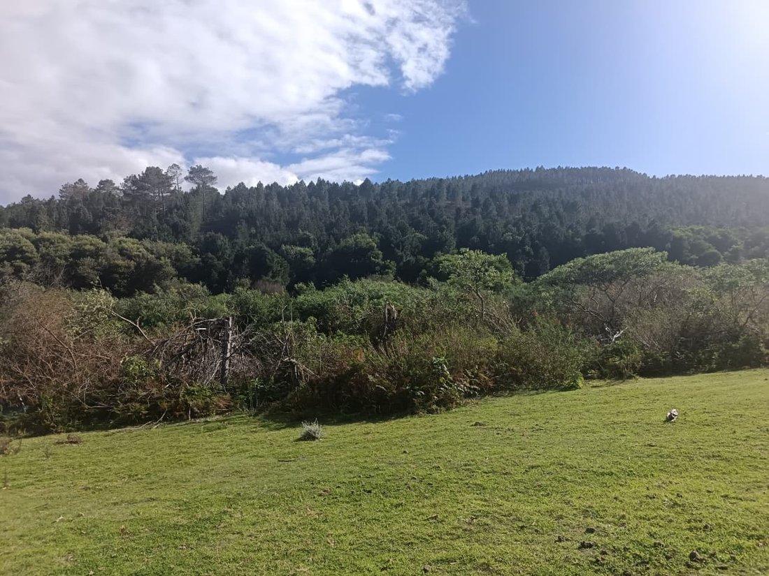 Andere in Napier, Westkap, Südafrika 3 - 19109844