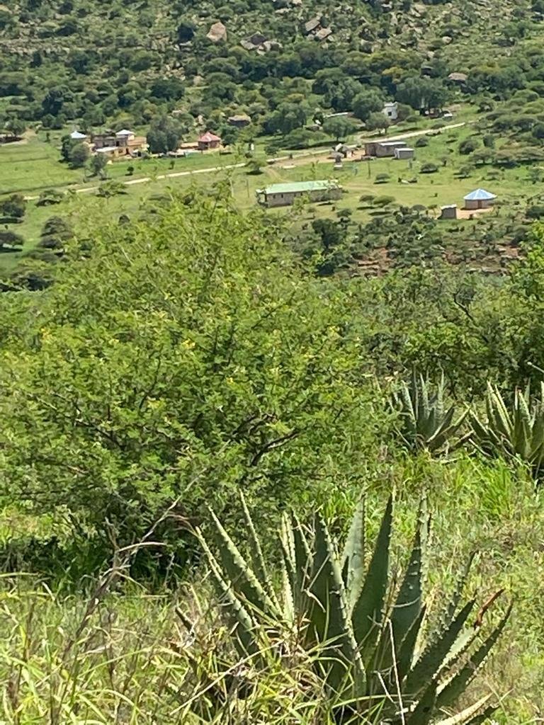 Otros en Municipio local de Umvoti, KwaZulu-Natal, Sudáfrica 2 - 19109914