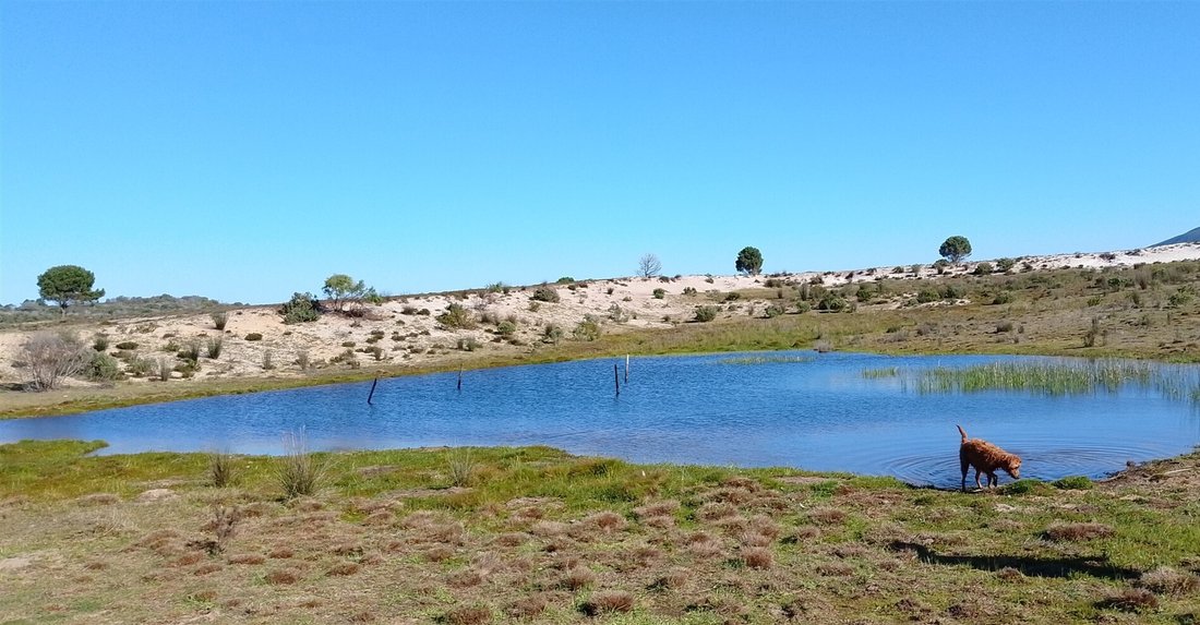 Andere in Gouritz, Westkap, Südafrika 3 - 19109738