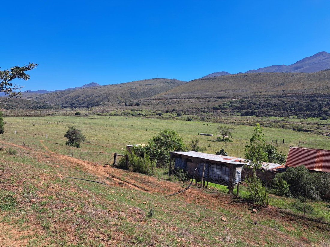 Andere in Kareedouw, Ostkap, Südafrika 4 - 19109803