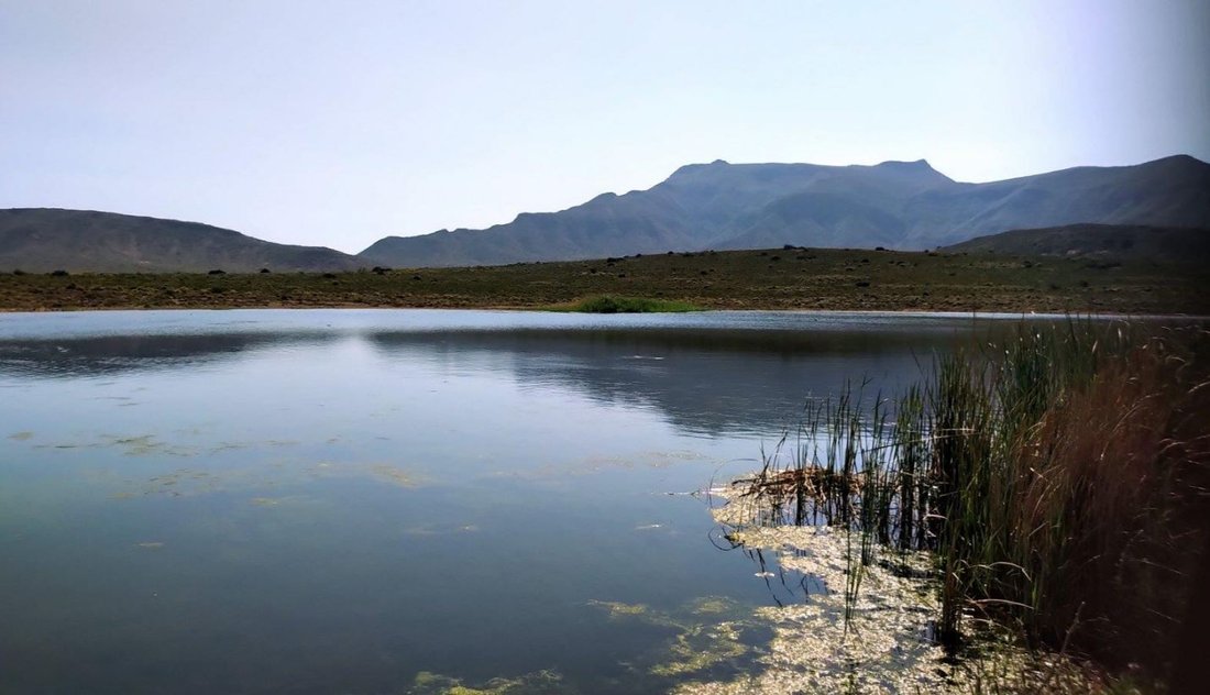 Robertson, Western Cape, South Africa 4 - 19109727