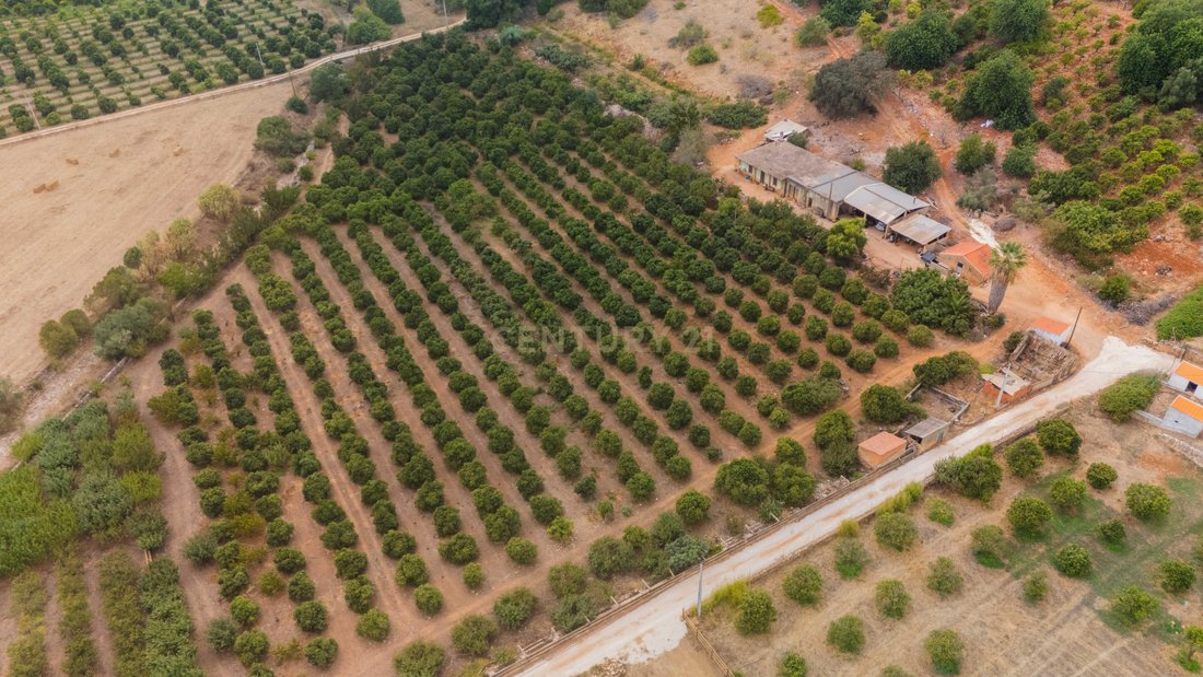 Farm Ranch in Mexilhoeira Grande, Algarve, Portugal 5 - 19115400