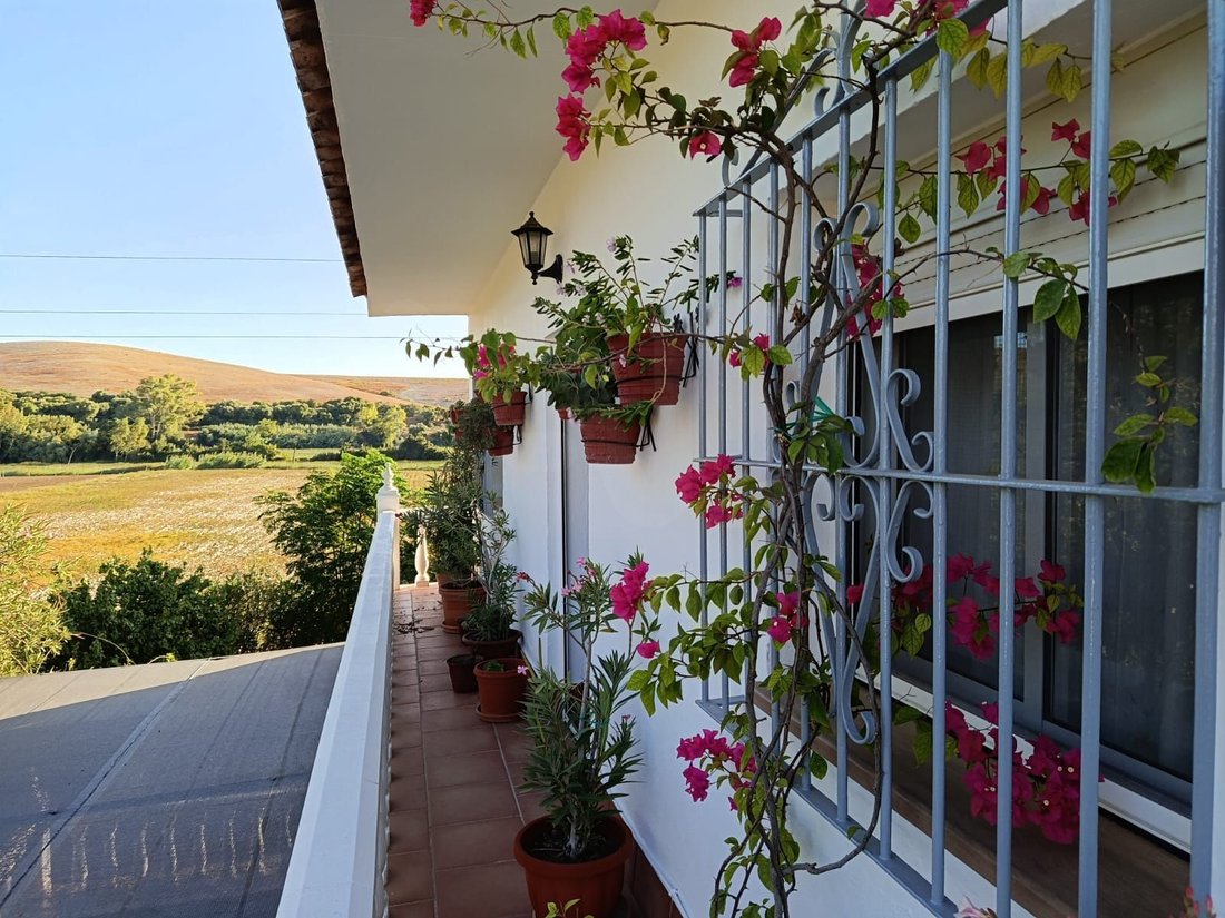 Townhouse in Arcos de la Frontera, Andalusia, Spain 2 - 19115977
