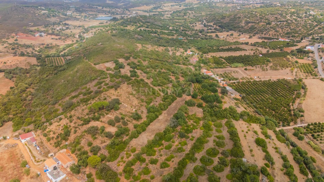 Farm Ranch in Mexilhoeira Grande, Algarve, Portugal 2 - 19115400