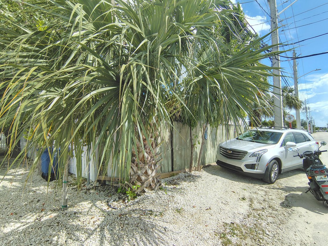 House in Key West, Florida, United States 3 - 19113829