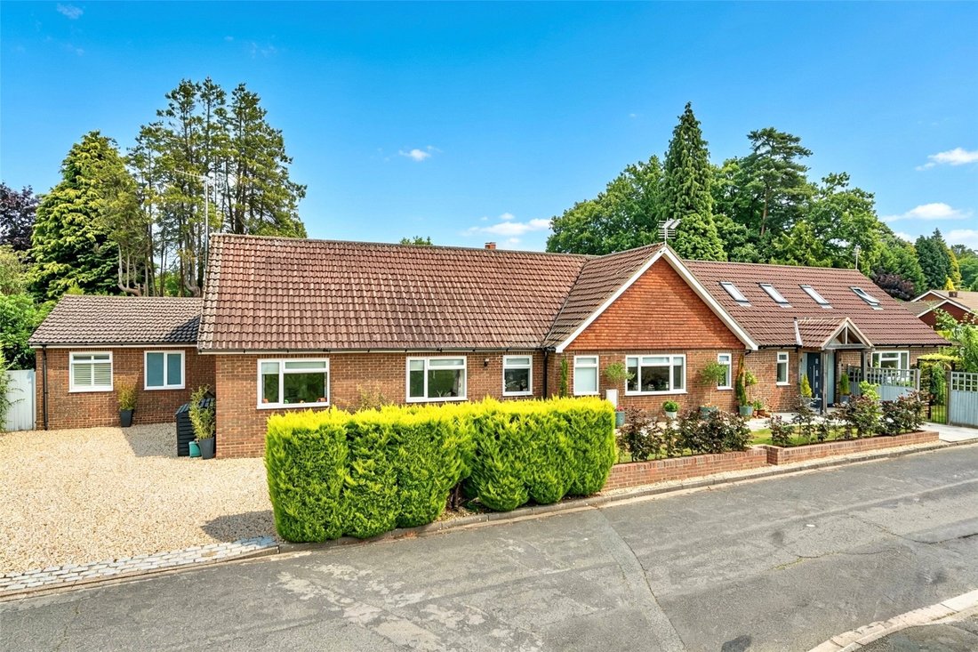 House in Hindhead, Beacon Hill, England 1 - 19111191