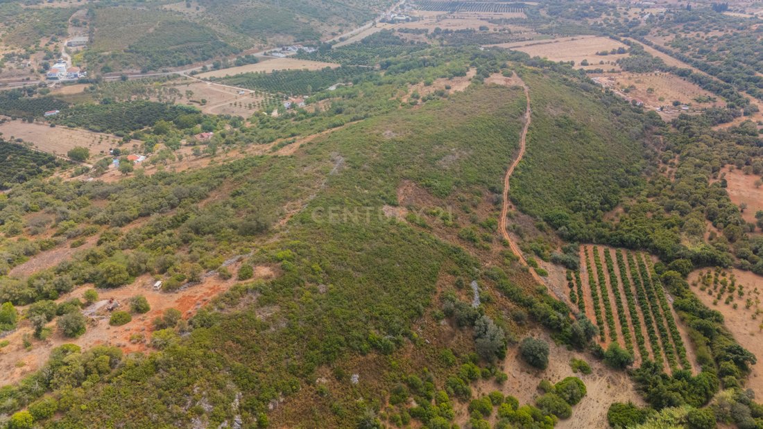 Farm Ranch in Mexilhoeira Grande, Algarve, Portugal 4 - 19115400